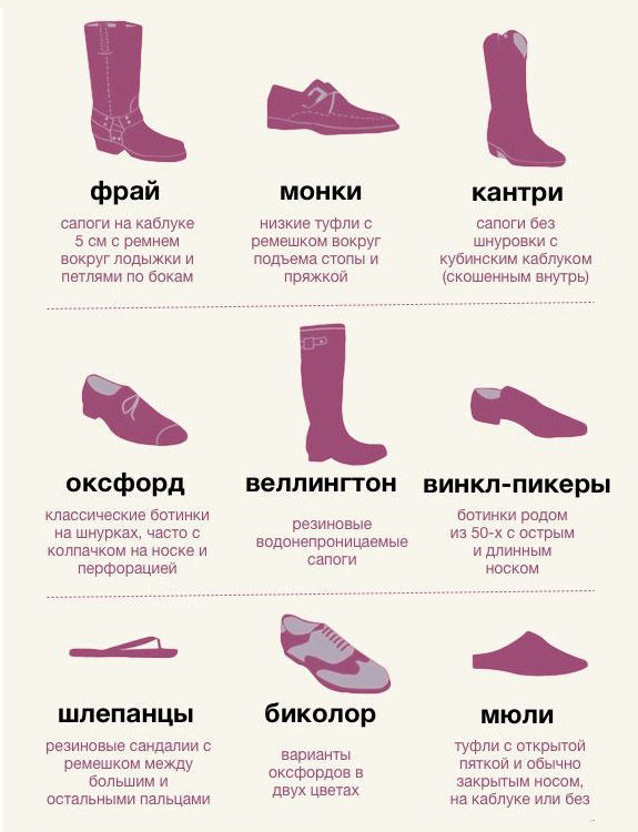 Женские ботинки виды и названия