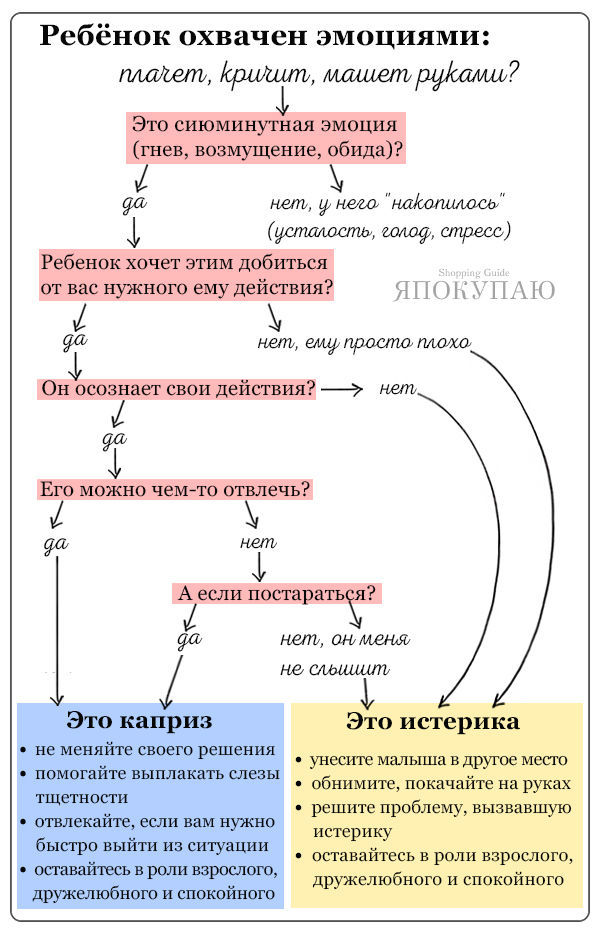 Дети проснулись схема интонации